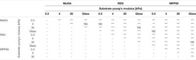 ECM Mechanoregulation in Malignant Pleural Mesothelioma